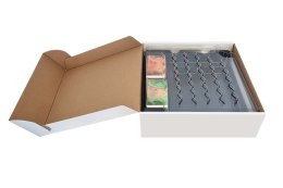 Terraforming Mars: Big Storage Box Extension