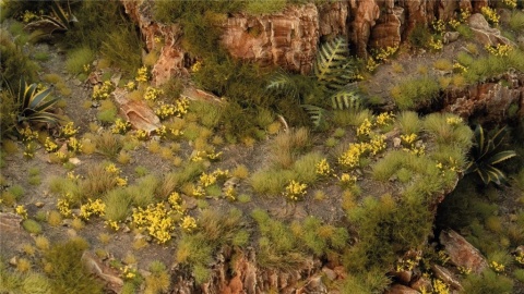 Gamers Grass: Dandelion Tiny Flowers