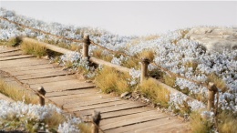 Gamers Grass: Light Blue Lilac Flowers