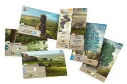 Leśne rozdanie: Dartmoor