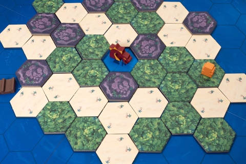 Survive the Island (edycja polska)