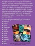 Compile + Aux 1 (edycja polska)