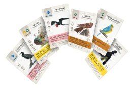 Na skrzydłach: Ptaki Ameryk