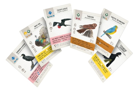 Na skrzydłach: Ptaki Ameryk