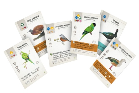 Na skrzydłach: Ptaki Ameryk