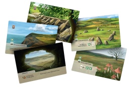 Leśne rozdanie: Dartmoor - Exmoor