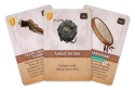 Fateforge: Kroniki Kaan (produkt uszkodzony)