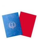 Dragon Shield Matte Sleeves Standard Size - Magic Izzet League (100)