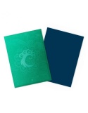 Dragon Shield Matte Sleeves Standard Size - Magic Simic Combine (100)