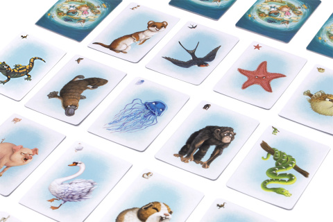 Opowiadanki: Nowe przygody