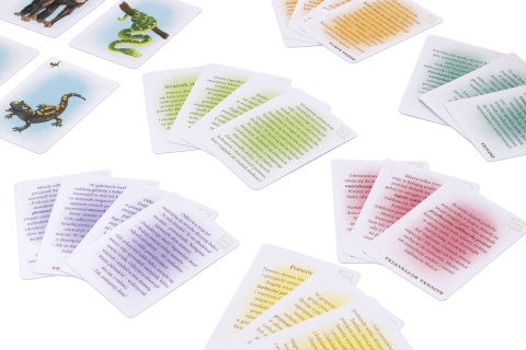 Opowiadanki: Nowe przygody