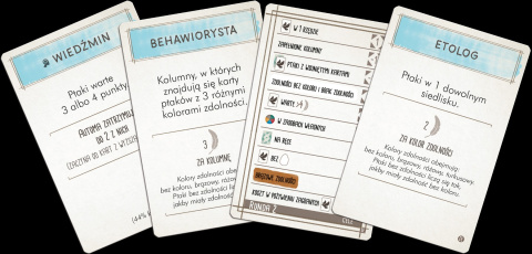 Na skrzydłach: Ptaki Europy