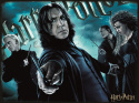 Harry Potter: Magiczne puzzle - Słudzy Voldemorta (300 elementów)