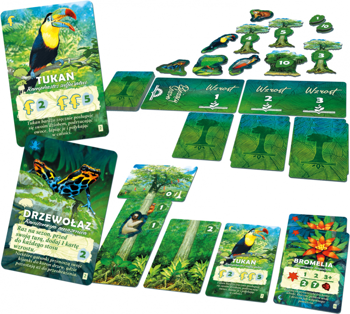 Lucky Duck Games Amazonia