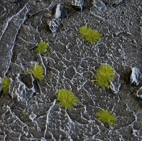 Gamers Grass: Tiny Tufts - Dry Green 2 mm