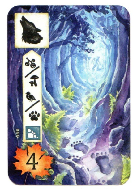 Łąka: Z biegiem strumienia