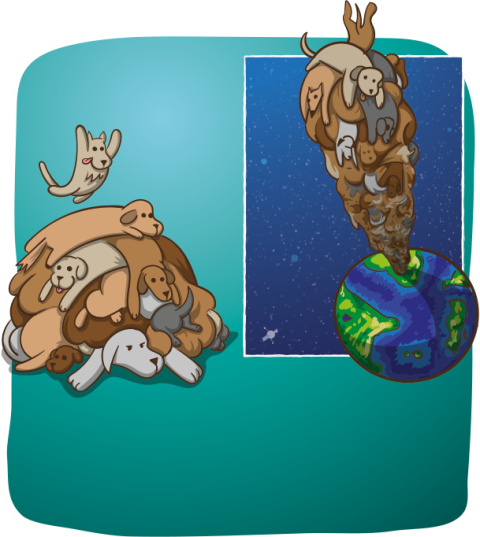 Eksplodujące Kotki: Szczekające Kotki (nowa edycja)