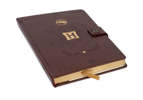 Notatnik A5 premium Harry Potter - QUIDDITCH