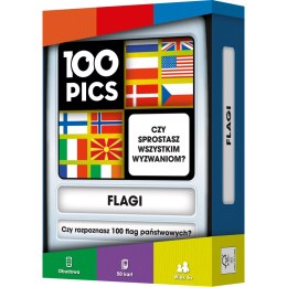 Rebel 100 Pics: Flagi
