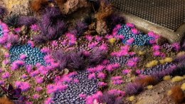 Gamers Grass: Tiny Tufts - Alien Neon 2 mm