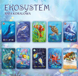 Ekosystem 2: Rafa koralowa