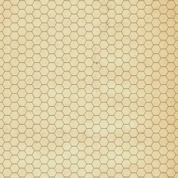 PLAYMATY Mata suchościeralna RPG heksagonalna - Papirus gładki [50x50]