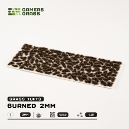 Gamers Grass: Grass tufts - 2 mm - Burned Tufts (Wild)