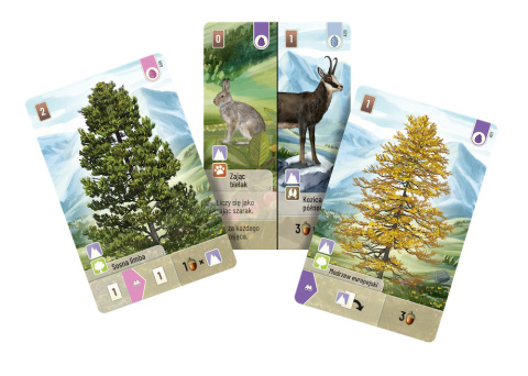 Leśne rozdanie: Alpy