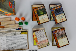 Spirit Island: Rozdarta ziemia