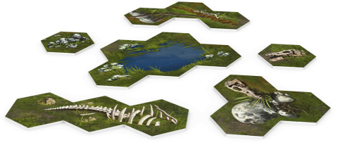 Heroes of Might and Magic III: Battlefield Expansion (edycja polska)