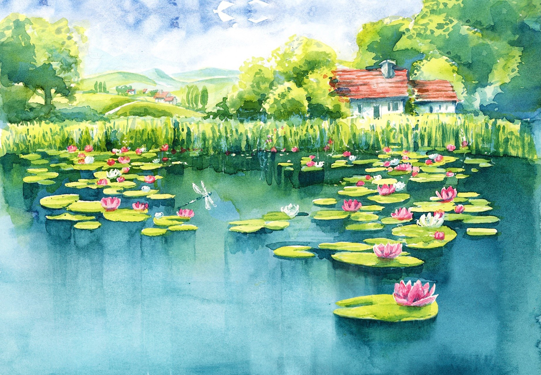 Grę zdobią przepiękne, akwarelowe ilustracje autorstwa Karoliny Kijak. Grę zdobią przepiękne, akwarelowe ilustracje autorstwa Karoliny Kijak.